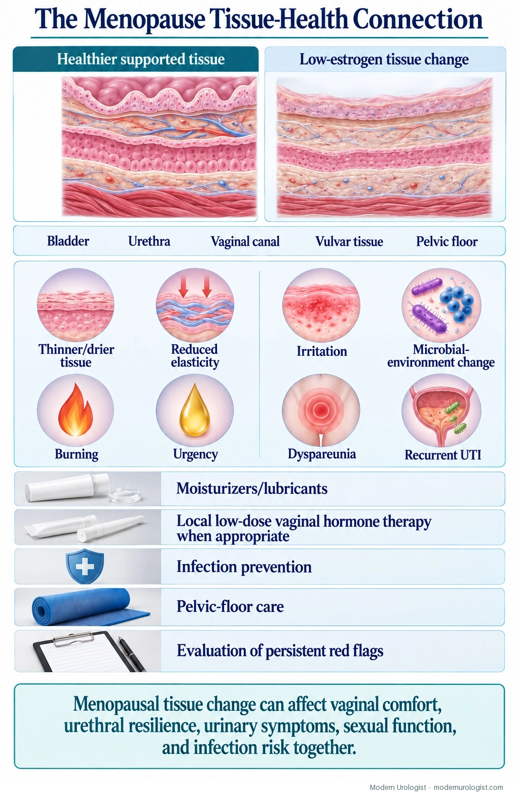 The Menopause Tissue-Health Connection