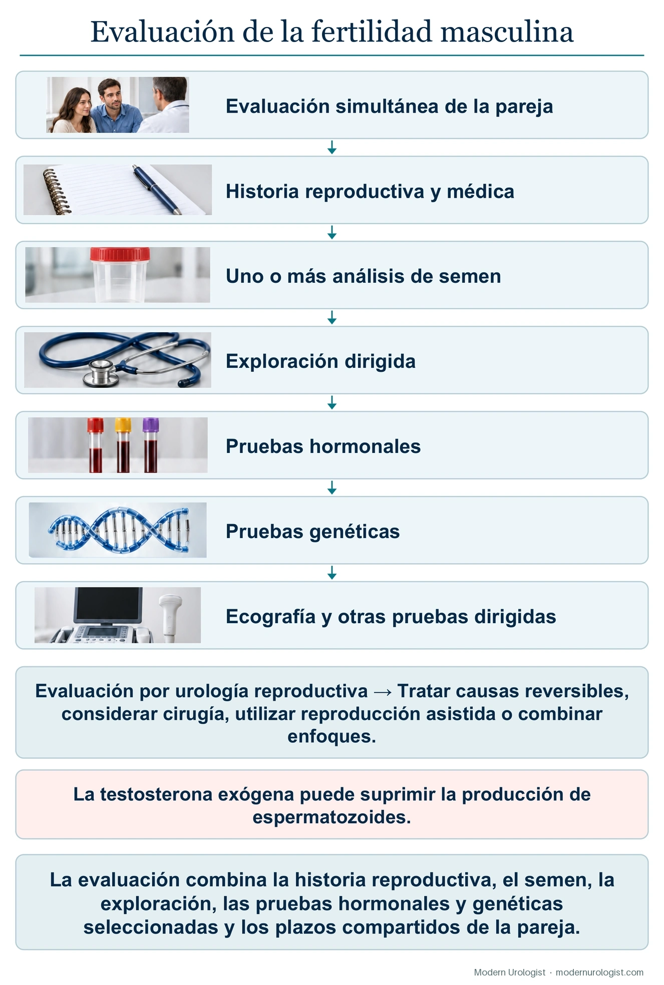El protocolo de evaluación de la fertilidad masculina