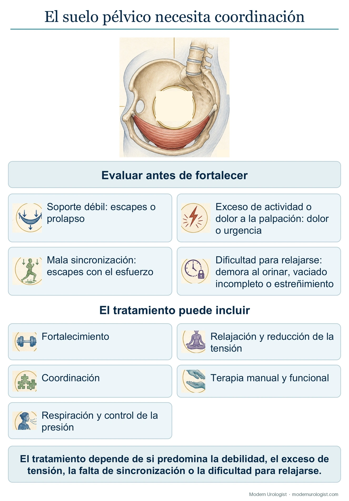 El suelo pélvico es un sistema de coordinación